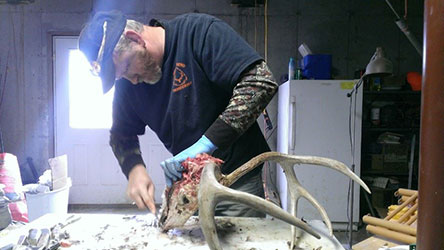 image of billy joe